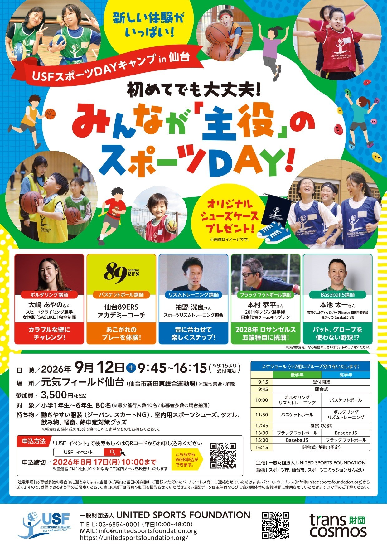 f3bee84334c33757acdd9a9e6a6cbd39-1783993226.jpg